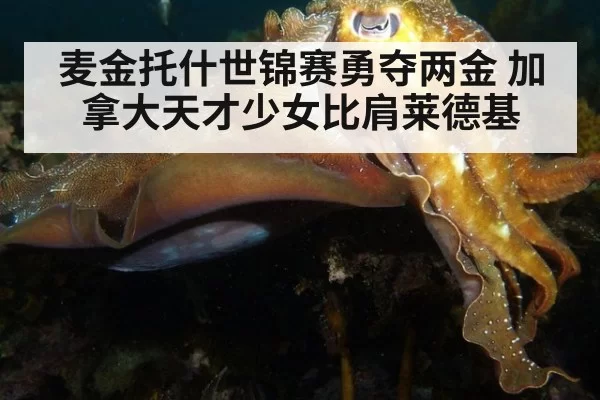 麦金托什世锦赛勇夺两金 加拿大天才少女比肩莱德基